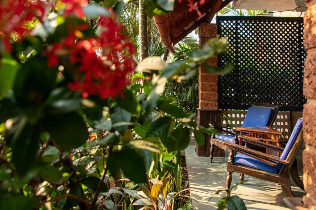 Casa Baga Hotel Exterior photo